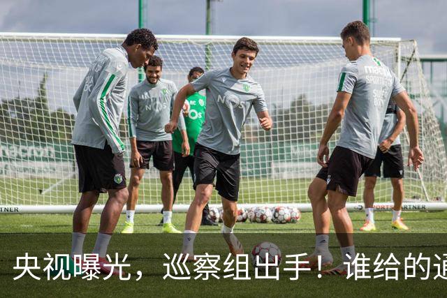 央视曝光，巡察组出手！谁给的通关？伪造材料载着"炸弹"跑了16年